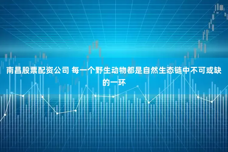 南昌股票配资公司 　　每一个野生动物都是自然生态链中不可或缺的一环