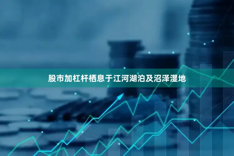 股市加杠杆栖息于江河湖泊及沼泽湿地
