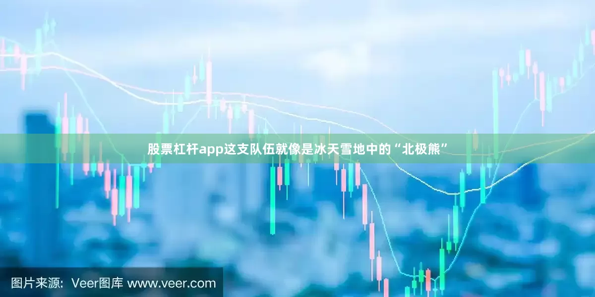 股票杠杆app这支队伍就像是冰天雪地中的“北极熊”