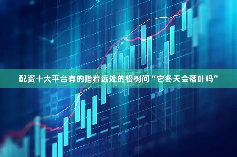 配资十大平台有的指着远处的松树问“它冬天会落叶吗”